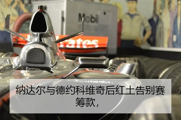纳达尔与德约科维奇后红土告别赛筹款，